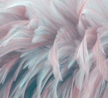 04-518