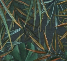 04-554